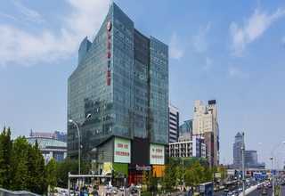奉贤区室内绿植租赁批发价